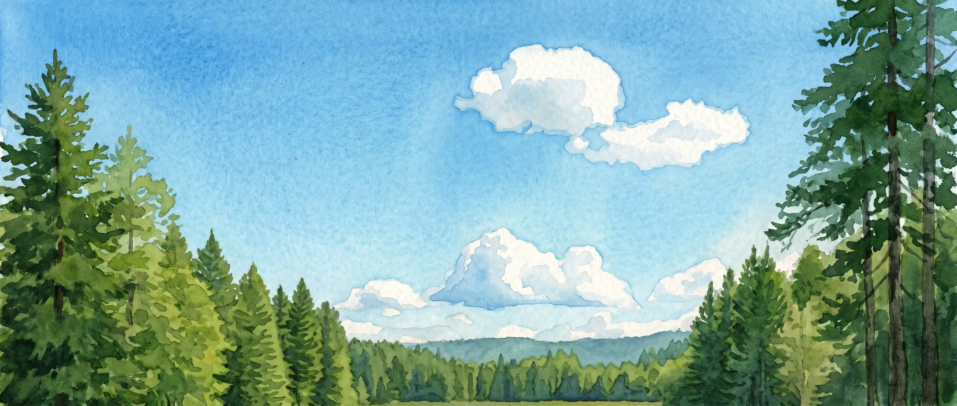 Serene landscape reflecting Shannon's calm approach to life
